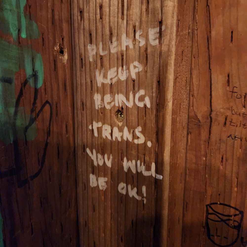 Photo of writing on a wall that reads "please keep being trans. You will be ok!"