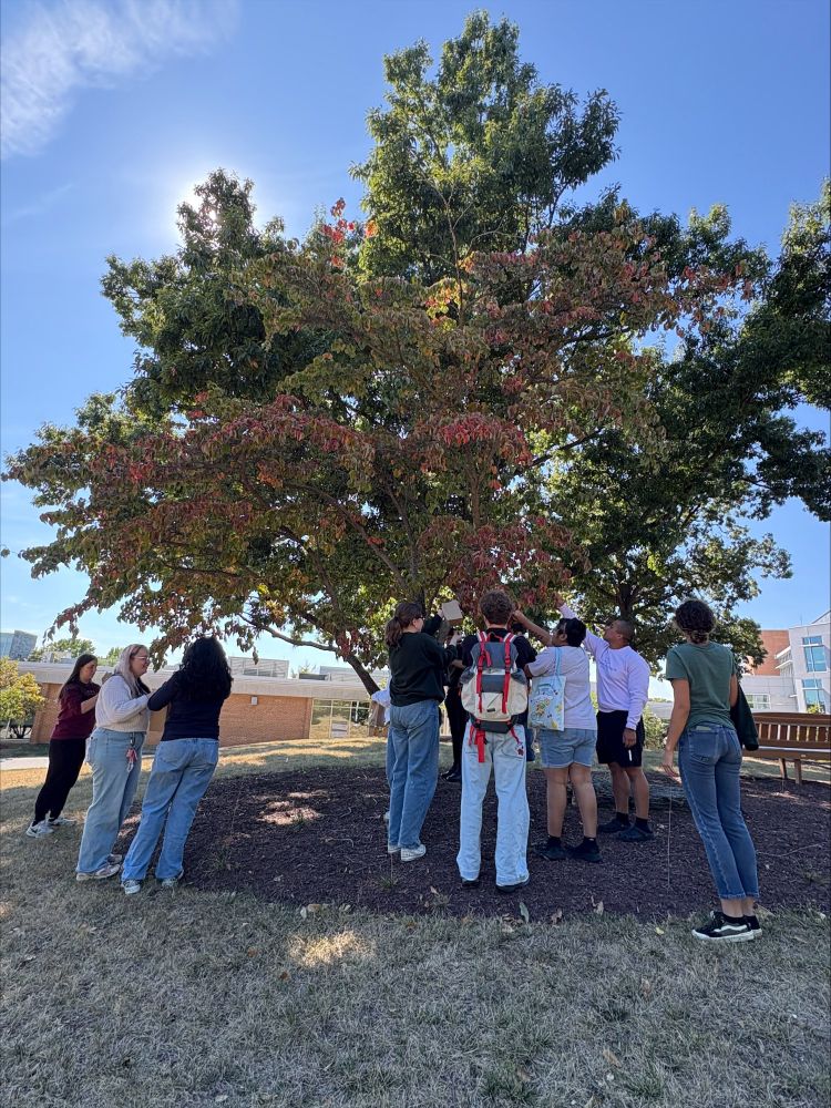 Students picking seeds out of trees