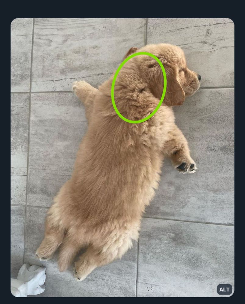Comment image
