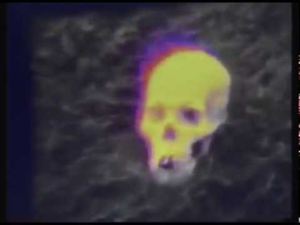 BENEATH THE SKIN  (1981)