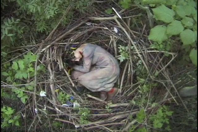 Why not a sparrow (2004)