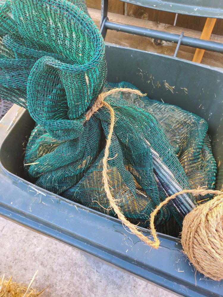 A large green mesh bag full of straw tied up with jute type cord, inside an old dark green rubbish bin.