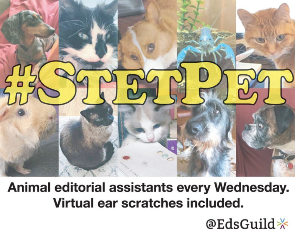 #StetPet — Northwest Editors Guild