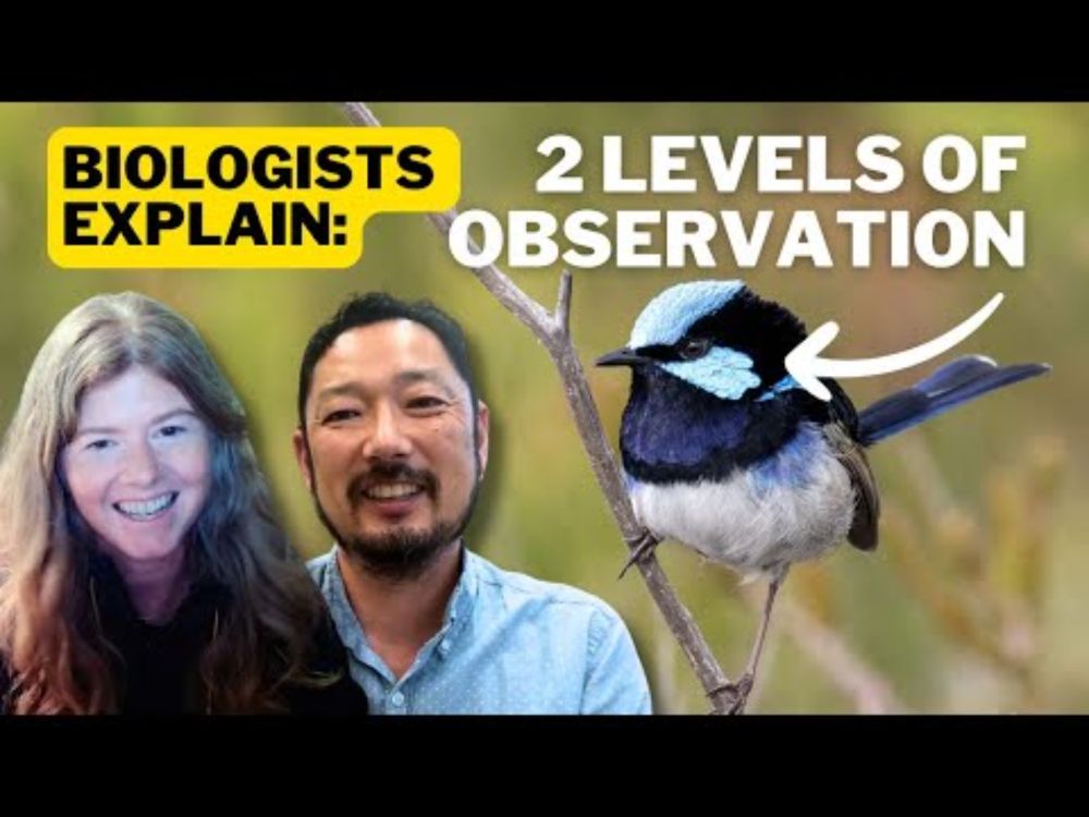 Practice observing birds and asking questions with 2 biologists!
