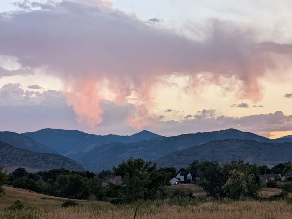 The deep blue foothills of the Rockies, homes nestled in the hills. Above, a virga cloud lit up with faint neon pink sunset light whispers a promise of rain to a valley of cottonwoods and gold midsummer grass.