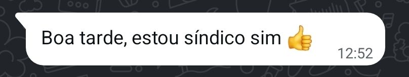 mensagem de whatsapp: "Boa tarde, estou síndico sim 👍" 