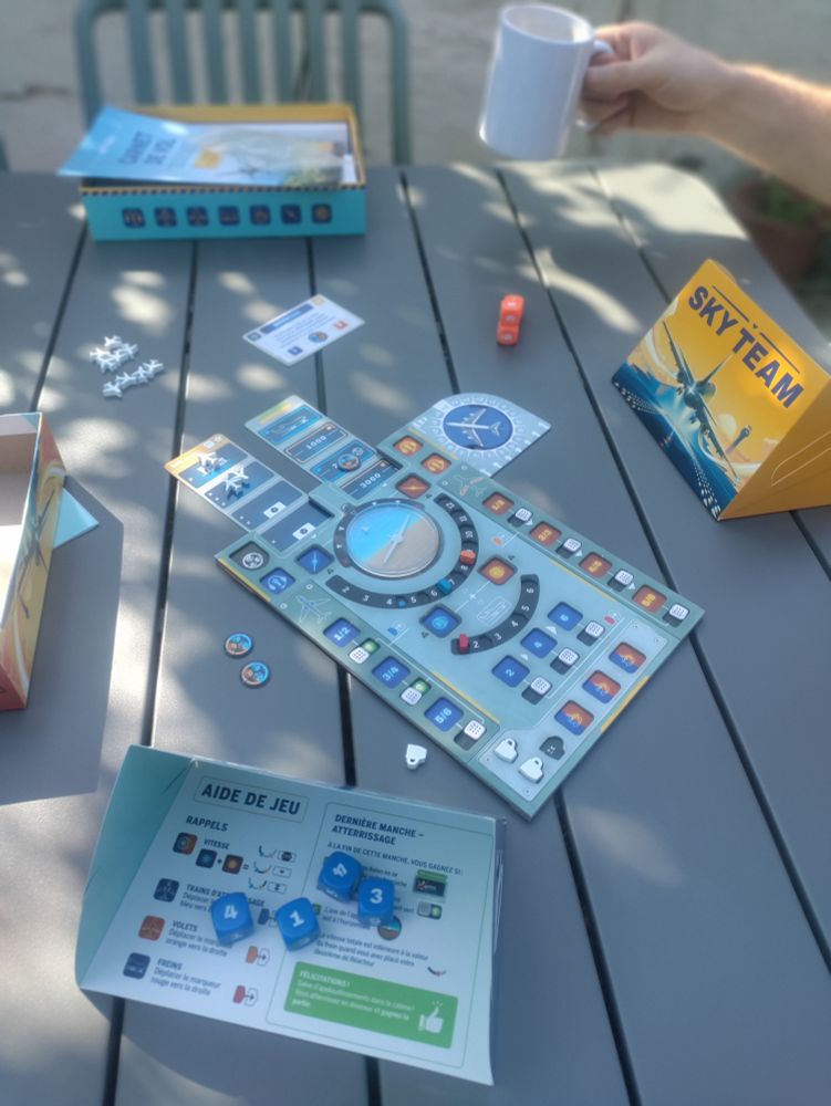 photo du jeu SkyTeam, installé sur une table