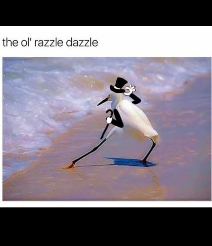 A bird dancing by the water with a drawn on top hat and cane, labeled “the ol razzle dazzle”