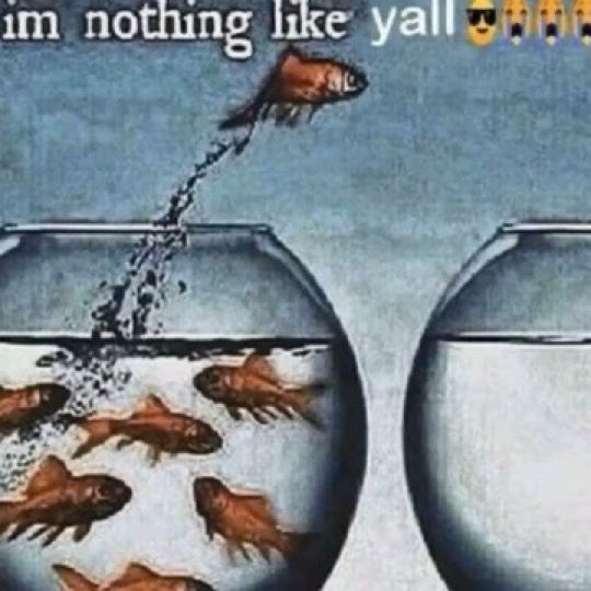 im nothing like yall 😎😭😭😭