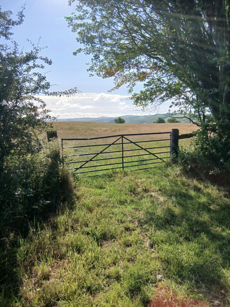 A gate with a meadow and hills in the distance 