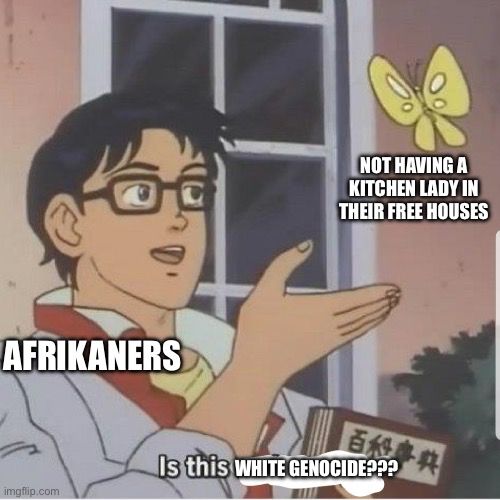 The butterfly guy meme with the guy labeled, AFRIKANERS, the butterfly labeled NOT HAVING A KITCHEN LADY IN THEIR FREE HOUSES, and the bottom text says “is this white genocide”