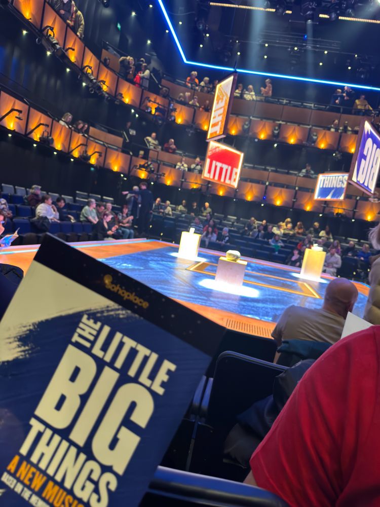 A photo of a lit stage in a theatre. The auditorium is “in the round” with the audience sat around an elevated stage in the centre of the rooms. The program for the show “the little big things” is in the foreground 