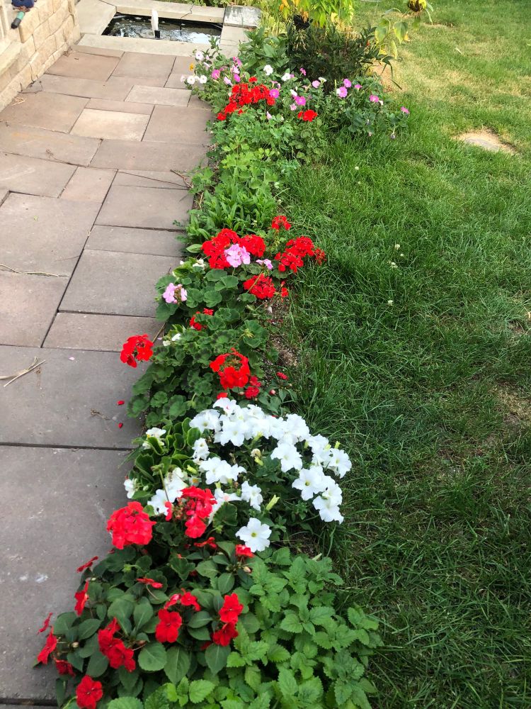 Floral lined Paved path on the left leads to fountain