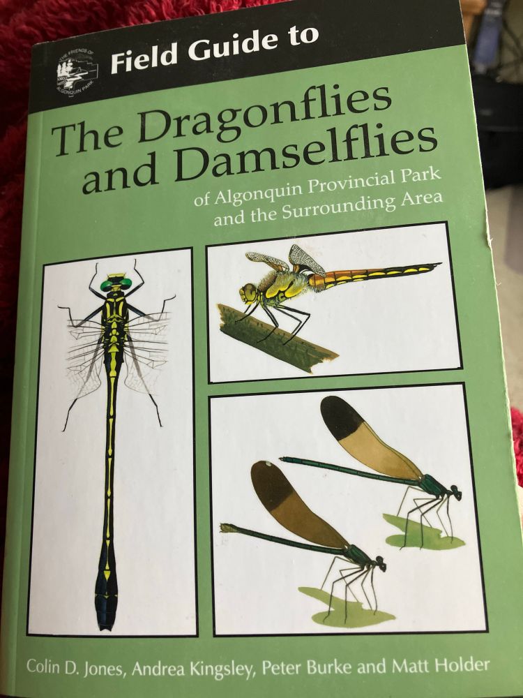 Front cover of Field Guide to the Dragonflies and Damselflies of Algonquin Provincial Park and the surrounding area, by Jones et al.