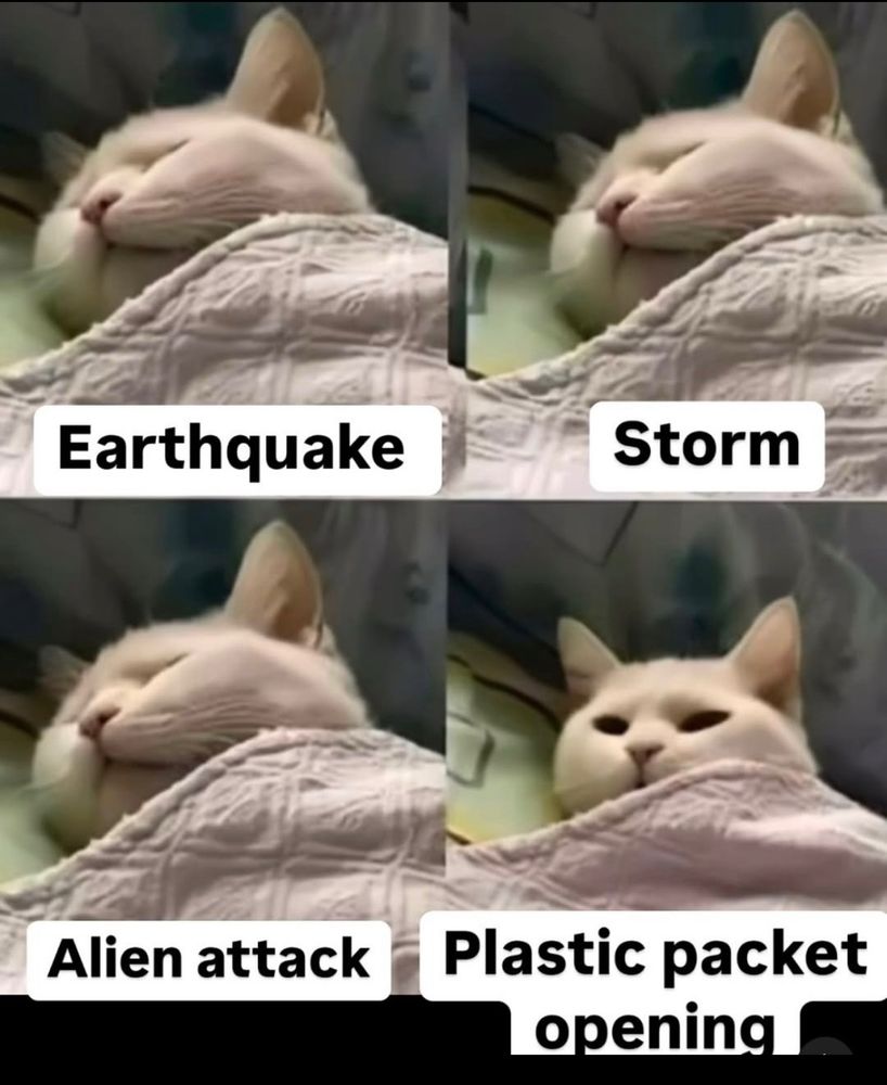 Four pictures of the same cream colored cat under a white blanket with four different listed scenarios. Top left lists Earthquake, top right lists Storm, bottom left lists Alien attack, and bottom right lists Plastic packet opening. The cat is shown sleeping through the first three, but perking up at the sound of the plastic packet opening.