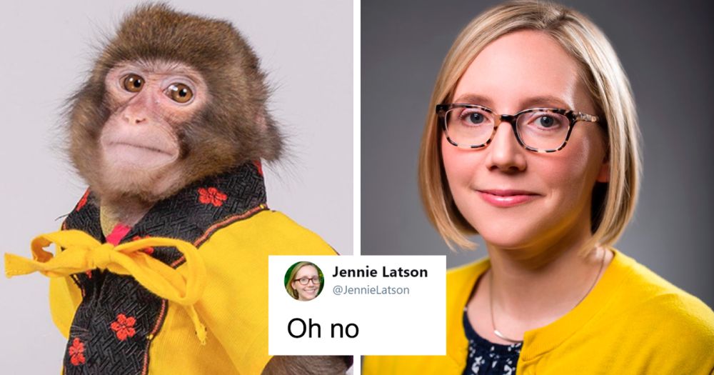 Someone Realizes This Monkey Looks Like Every Journalist And Real Journalists Confirm With 24 Pics