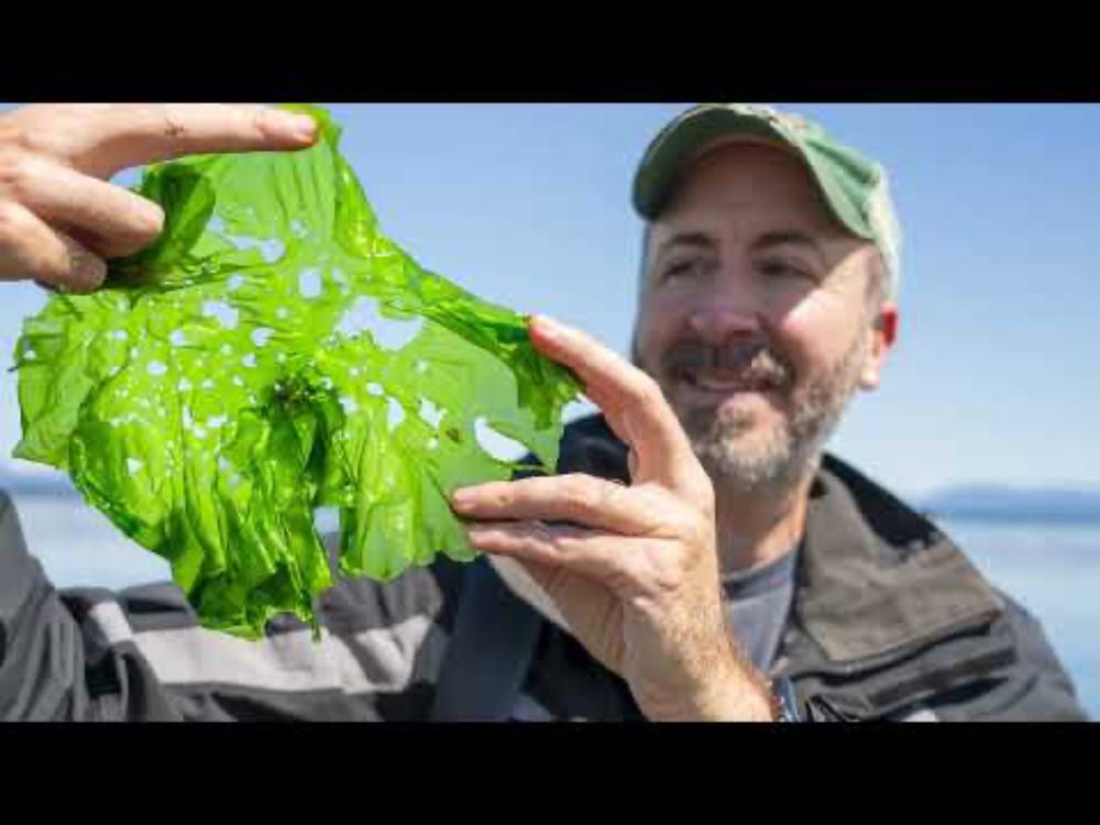 Hakai Institute's Quadra Island Bioblitz