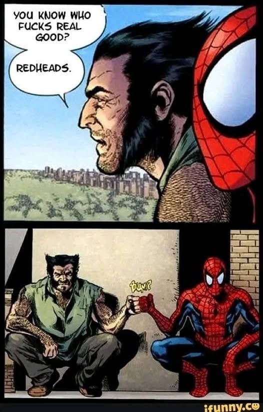 Spiderman and Wolverine bonding over redheads being good sex.