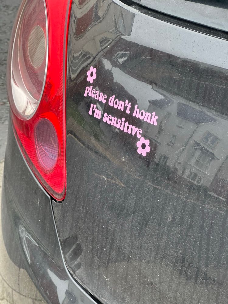 A baby pink bumper sticker with 2 flowers that says “please don’t honk; I’m sensitive.”