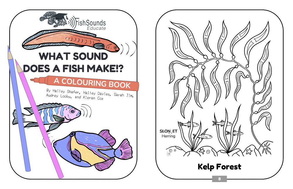 The cover page of the book by Hailey Shafer, Hailey, Davies, Sarah Jim, Audrey Looby, and Kieran Cox, with three coloured fish. An example colouring page showing herring in a kelp forest.

