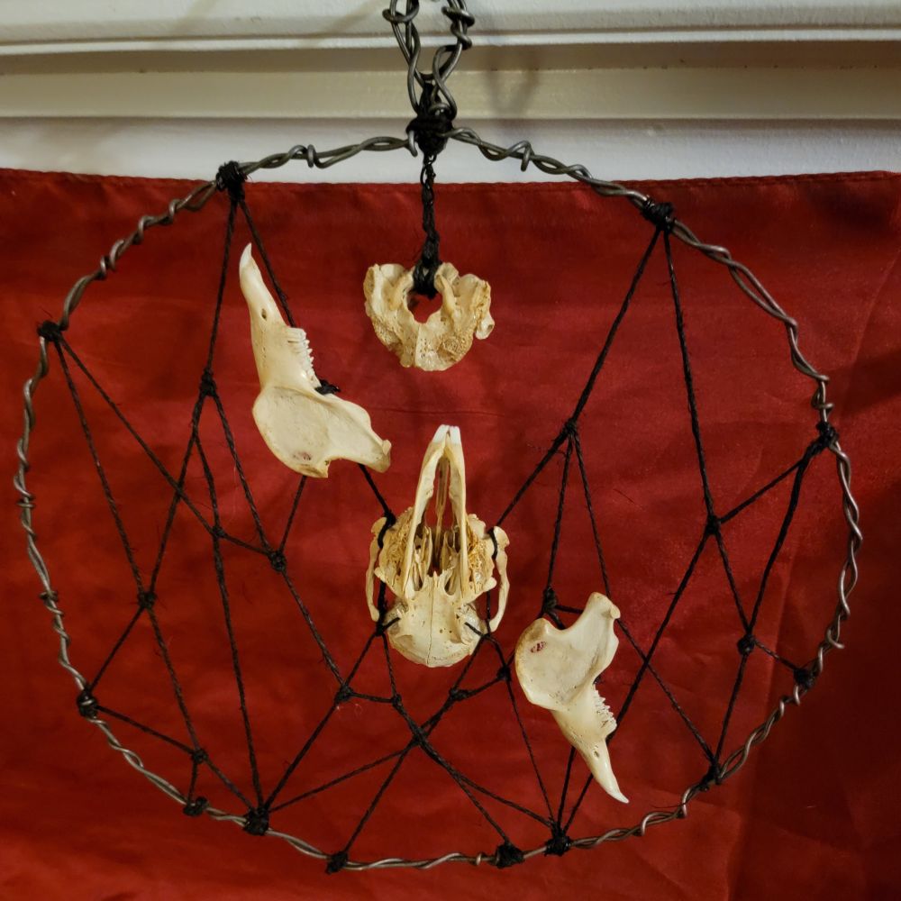 The same circle described above, with the occipital bone hanging at the top
