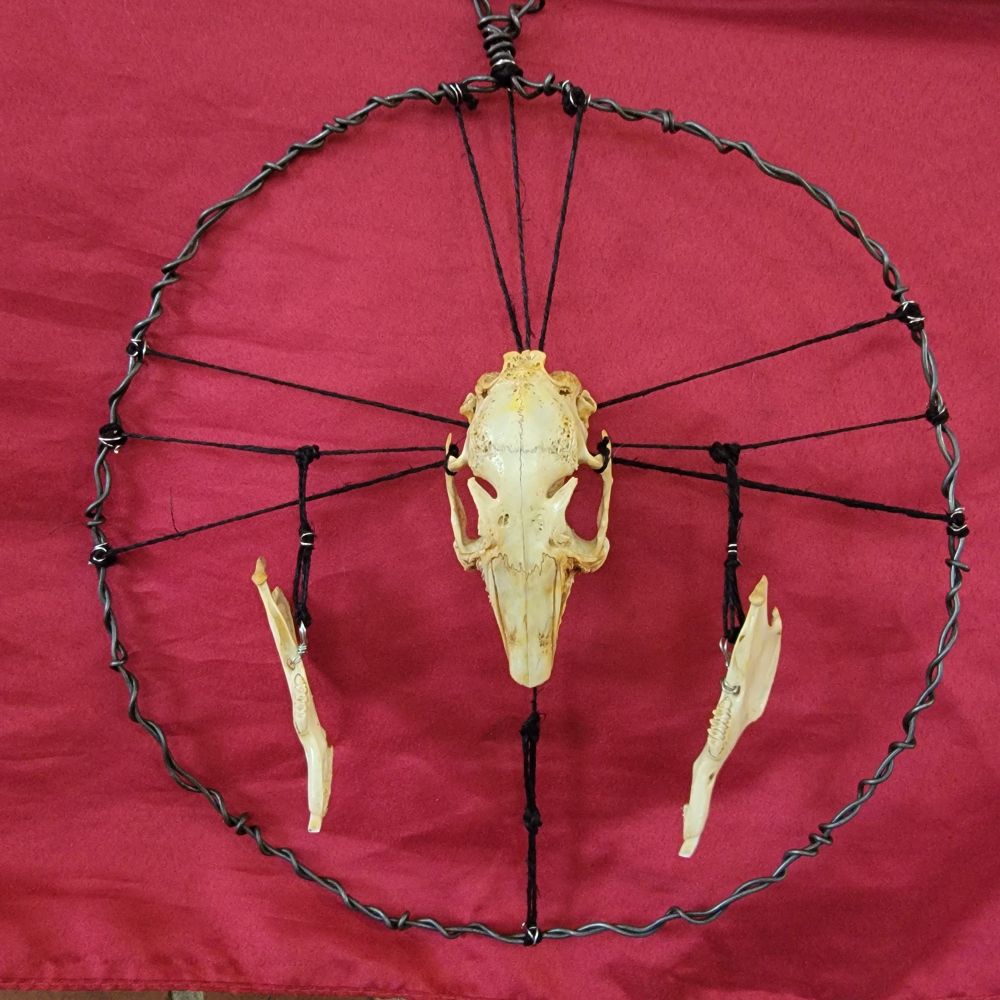 A rabbit skull flanked by the left and right jaw bone, suspended by black string radiating out from the skull in the center. All within a circular wire frame.