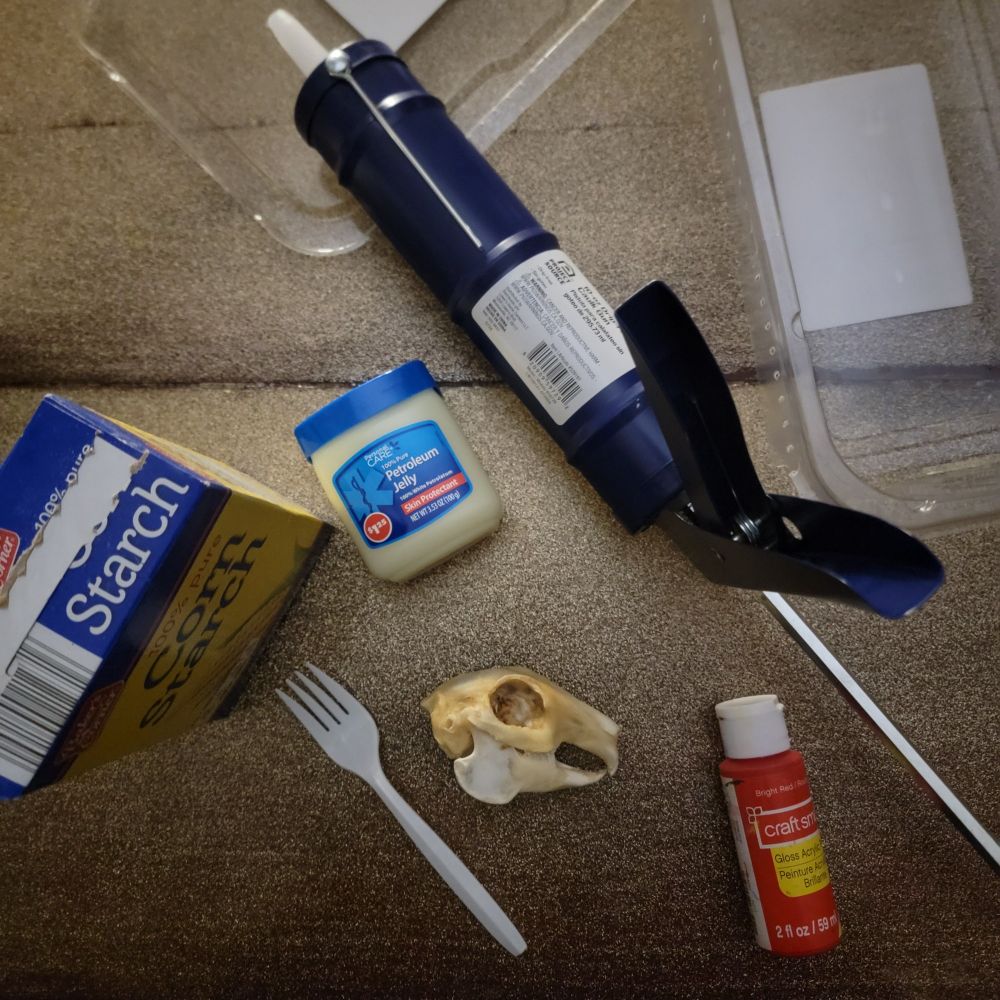 A skull surrounded by an assortment of craft supplies: silicone, paint, cornstarch, petroleum jelly, and plastic utensils