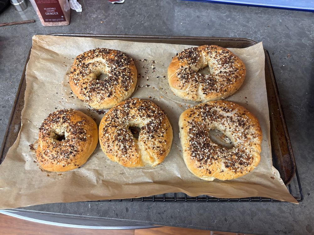 A tray of freshly baked bagels.
