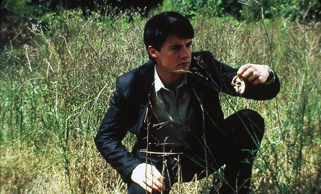 Blue Velvet by Lynch