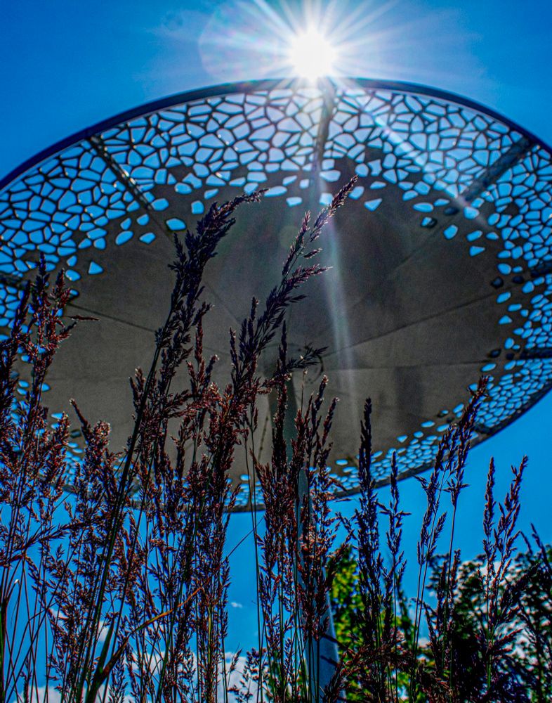 Sonnenschirme in Swinemünde über einer bepflanzten Rabatte