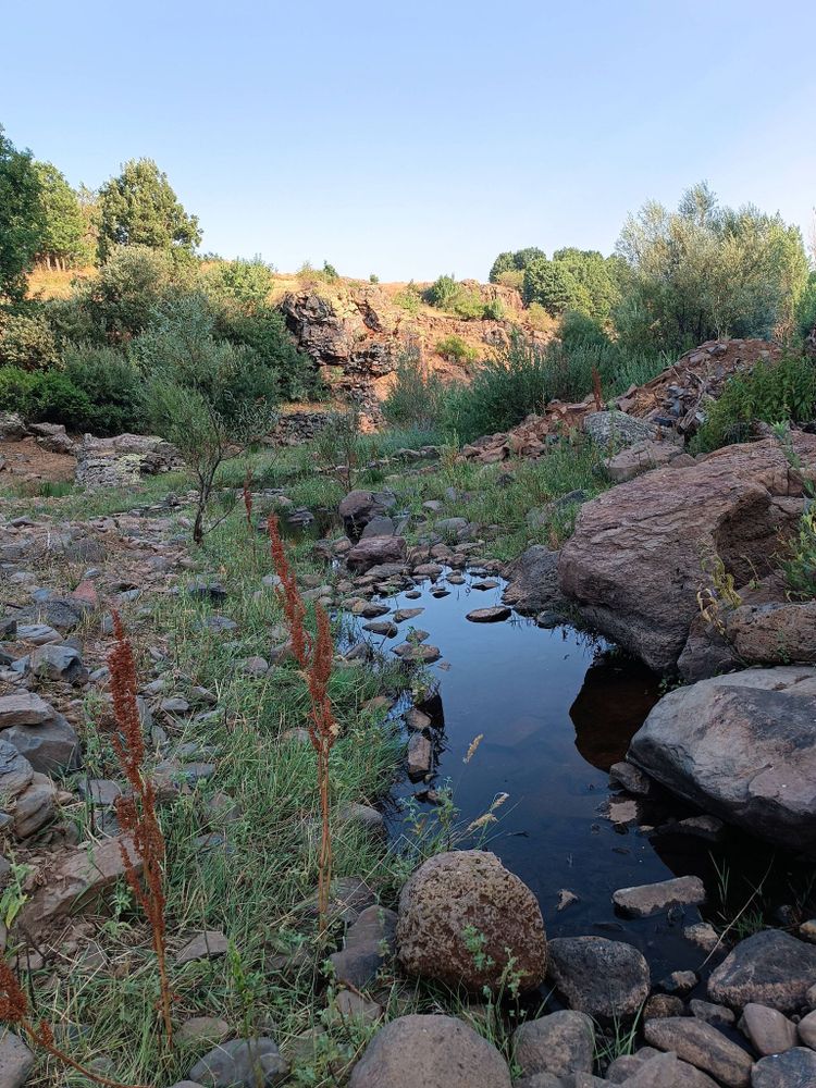 A low-angle shot of a riverbed with a small reflecting the sky. Large, smooth rocks and sparse green and brown vegetation fill the rocky terrain, with trees in the background under a clear blue sky.