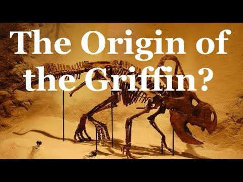 Was the Legendary Griffin Inspired by Fossils of the Protoceratops?