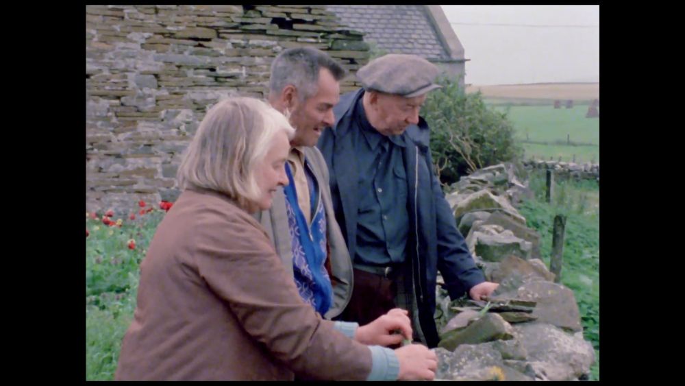 Two men and a woman stand by an old stone wall looking at something offscreen