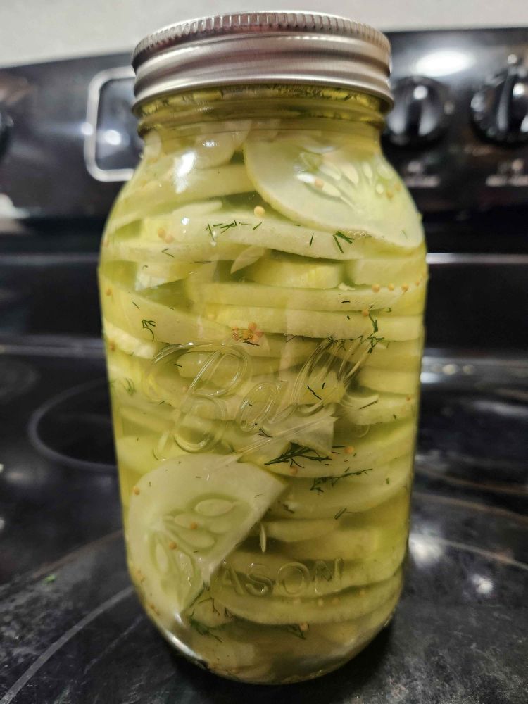 A large, clear glass jar sits on top of a black glass stovetop. The sliced cucumbers inside the jar are much lighter than normal pickles, and tinted yellow. Inside the jar also float bits of dill and yellow mustard seeds, with some slices of garlic barely visible at the bottom. 