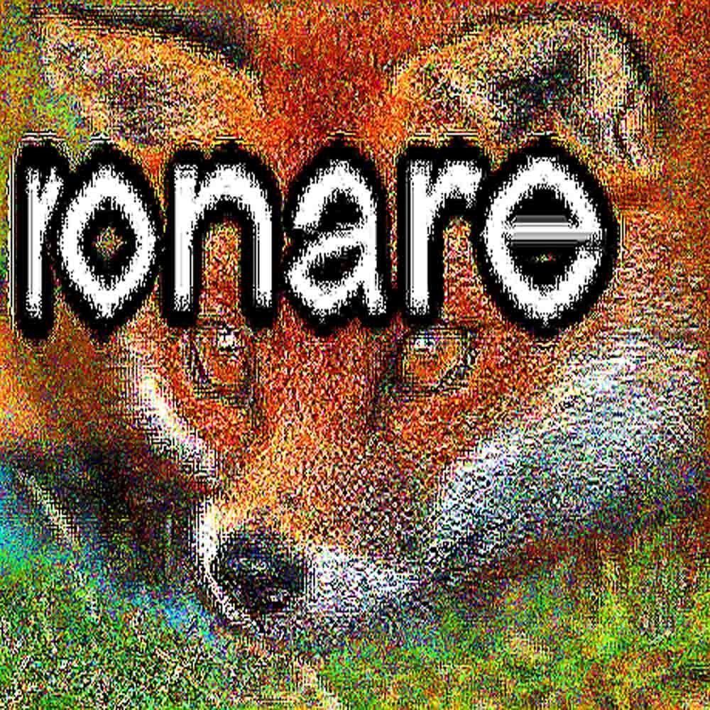 Image très saturée de la tête d'un renard
Il y a écrit ronare en gros