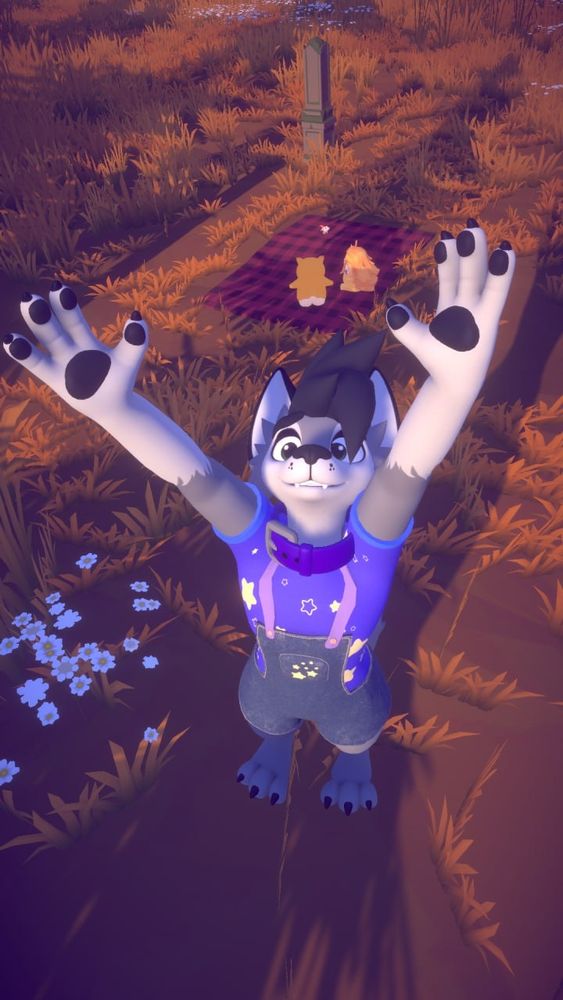 VRChat screenshot of a grey wolf character wearing a pair of overalls and a star-patterned purple t-shirt, reaching up at the viewer. He is standing in a field of grass and flowers.