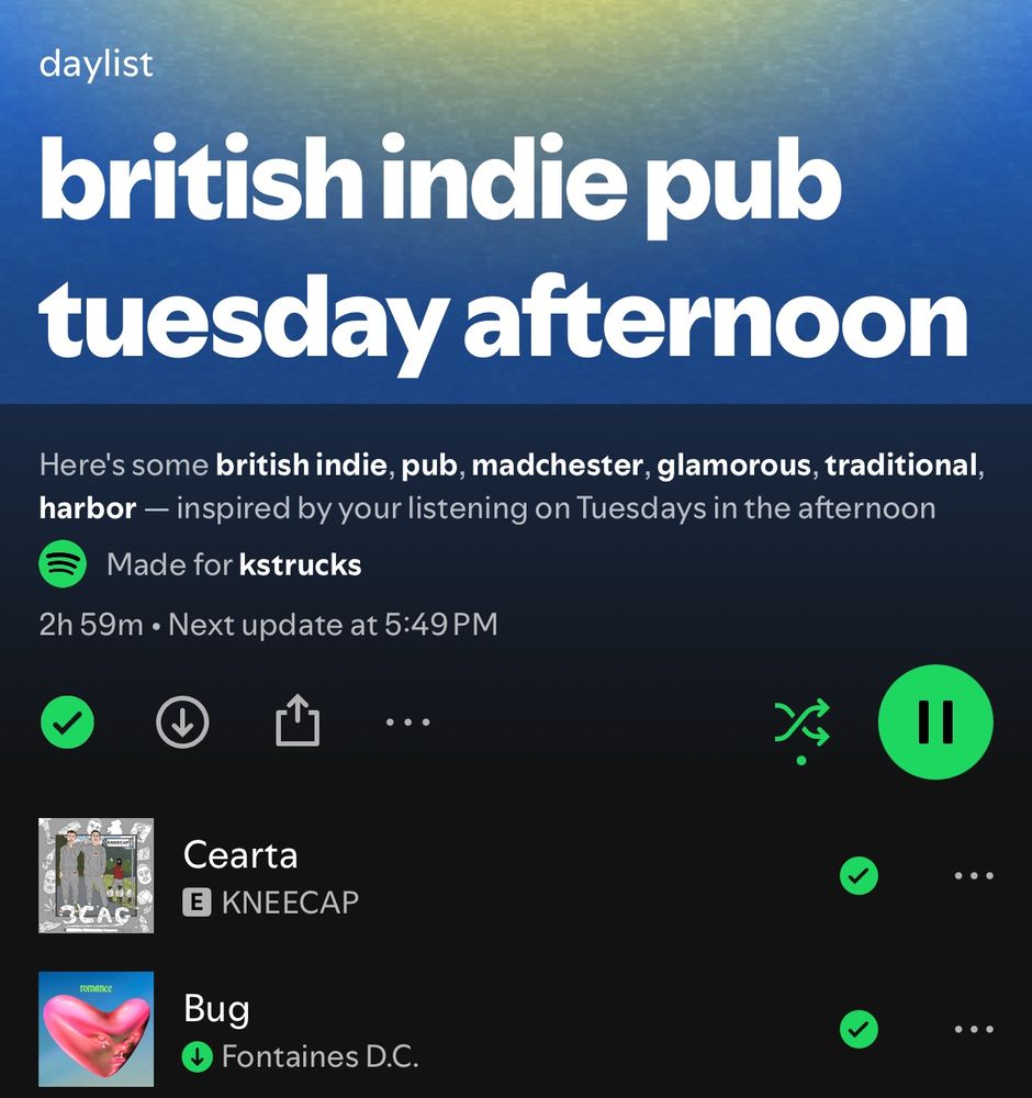 my spotify daylist that spotify generates, named “british indie pub tuesday afternoon” and the first two songs are by Irish bands, Cearta by Kneecap and Bug by Fontaines D.C. 