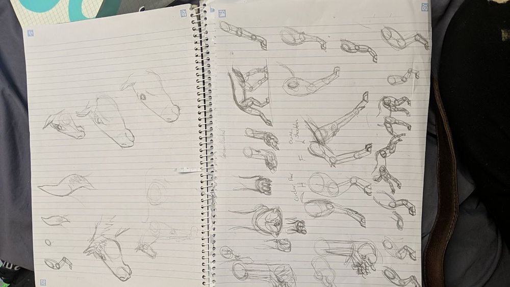 A page showing Horse heads constructed, as well as Wolf Legs and poses