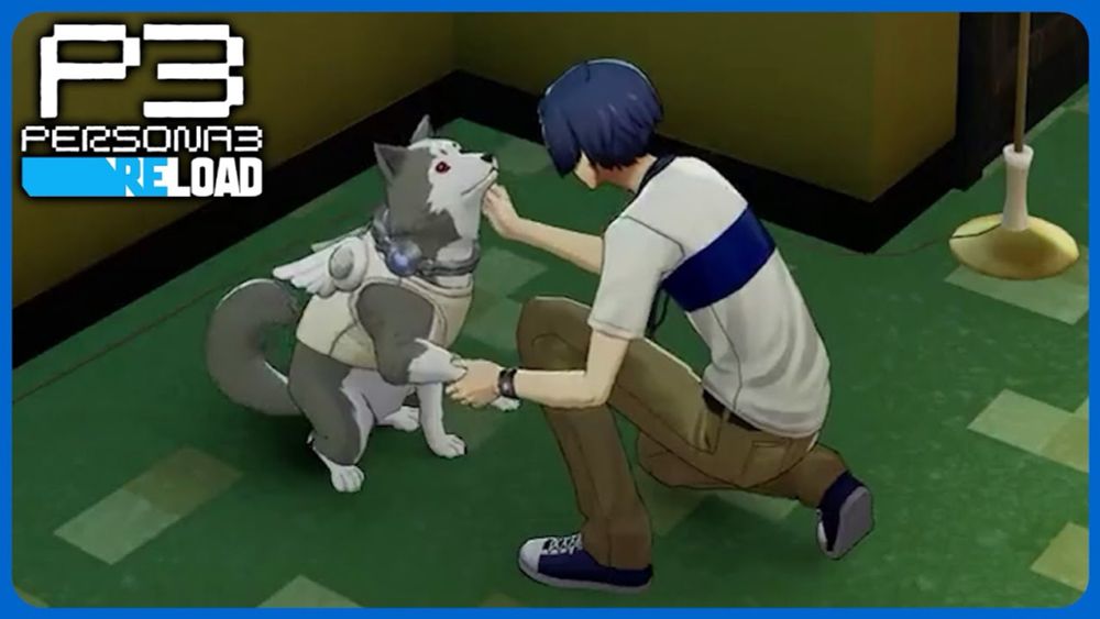 PETTING KOROMARU - PERSONA 3 RELOAD