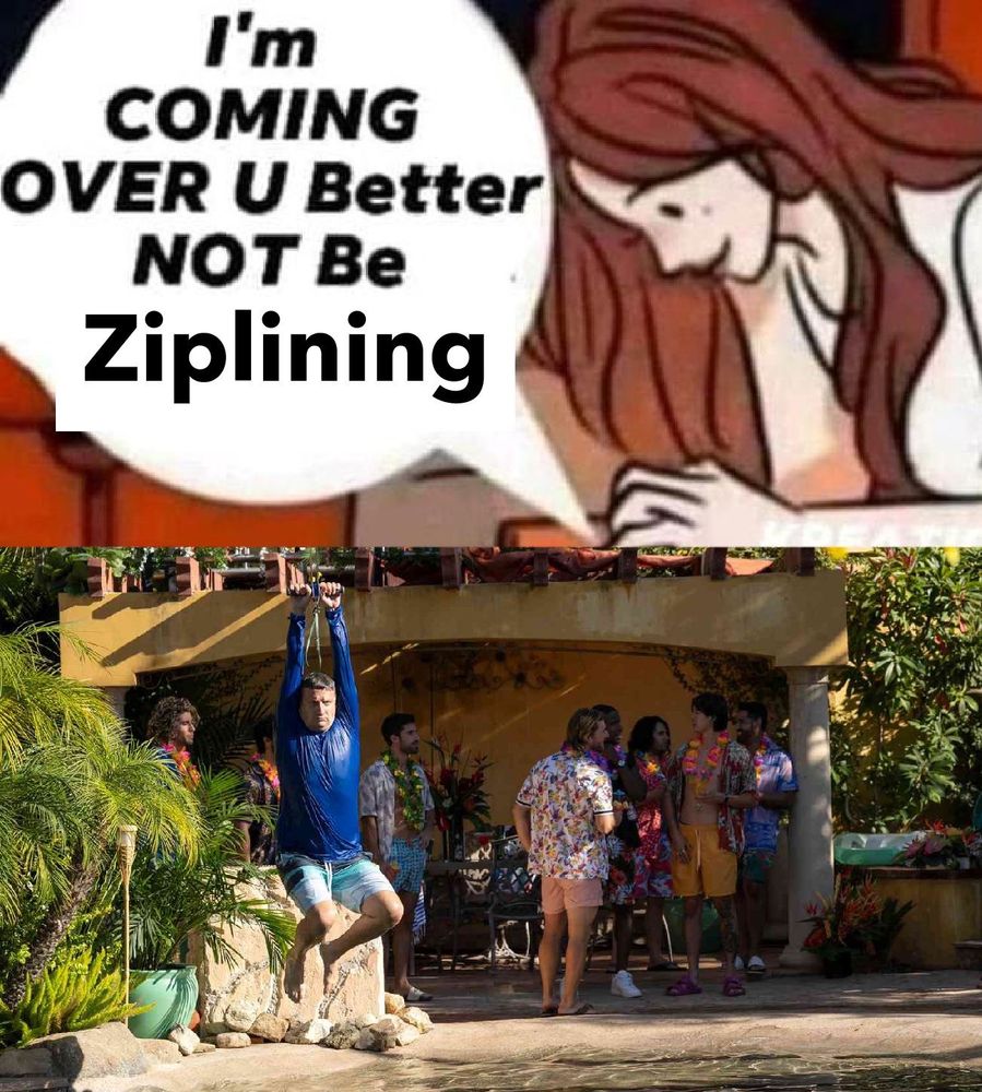 Two frames. First is a cartoon of a woman texting, the text says “I’m coming over U better not be ziplining”. The second is an image of Tim Robinson ziplining in I Think You Should Leave