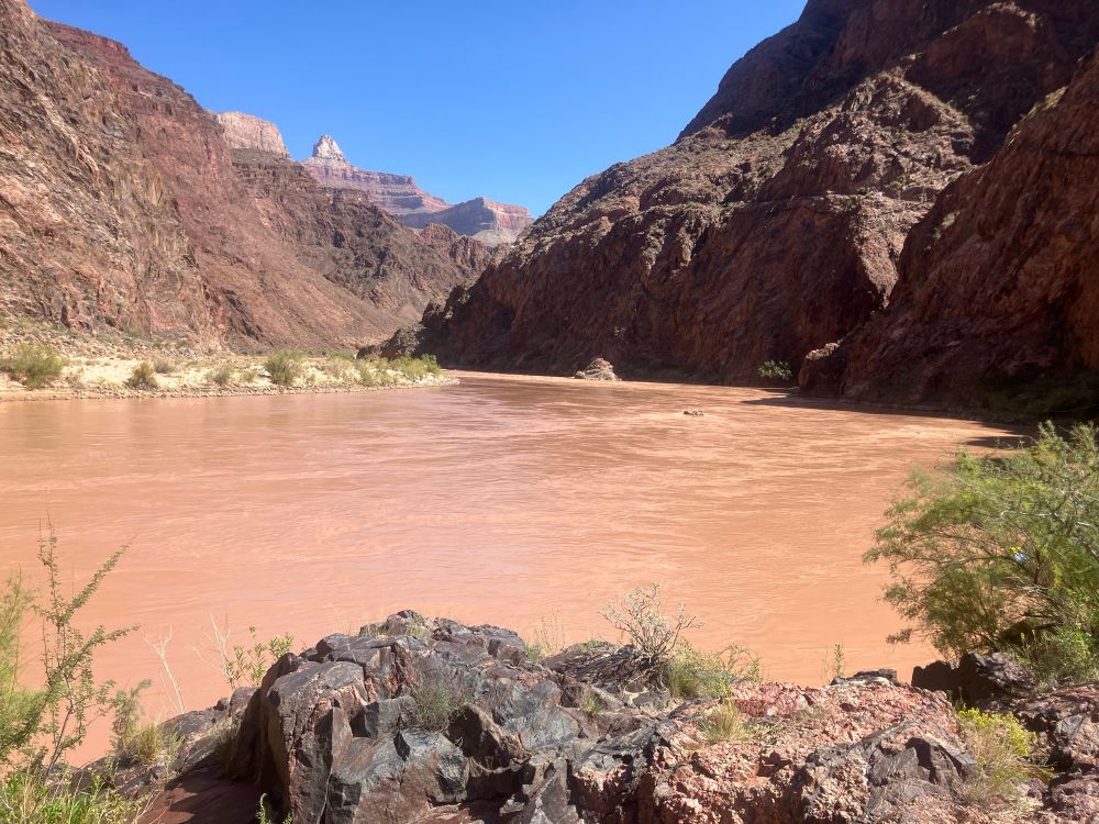 Looking down the Colorado River at Pipe Creek Beach at the bottom of the Grand Canyon. The water is really muddy, it’s almost like watching chocolate milk flow by. 