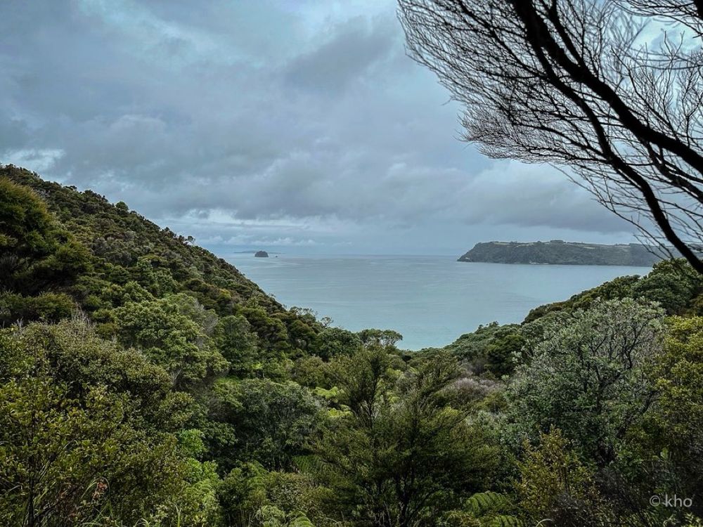 Ein weiter Blick über eine grüne, dichte Küstenlandschaft, die sanft zum Meer hin abfällt. Über dem ruhigen Wasser liegt ein grauer, wolkenverhangener Himmel. Am Horizont zeichnen sich eine kleine Insel und eine ferne Landzunge ab. Vorn rahmen Äste und Bäume die stille, naturbelassene Szene.