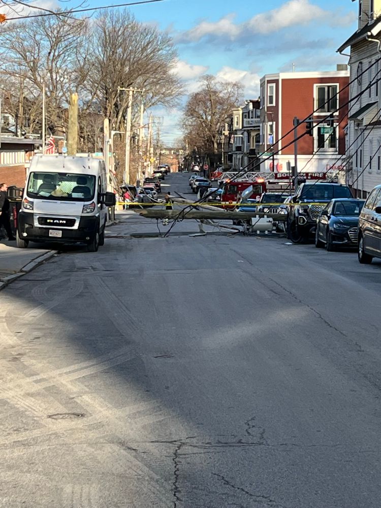 Photo of downed utility pole in street. 