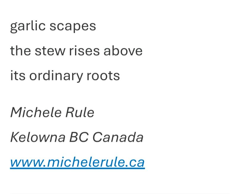 Black text on a white background 
garlic scapes
the stew rises above
its ordinary roots
Michele Rule 
Kelowna BC Canada 
www.michelerule.ca