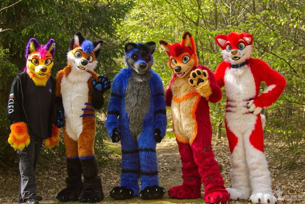 5 fuzzballs stand in a forest path - two foxes, a wolf, a coyote and a dog. The fox on the center-left and the coyote on the center-right are waving hello!