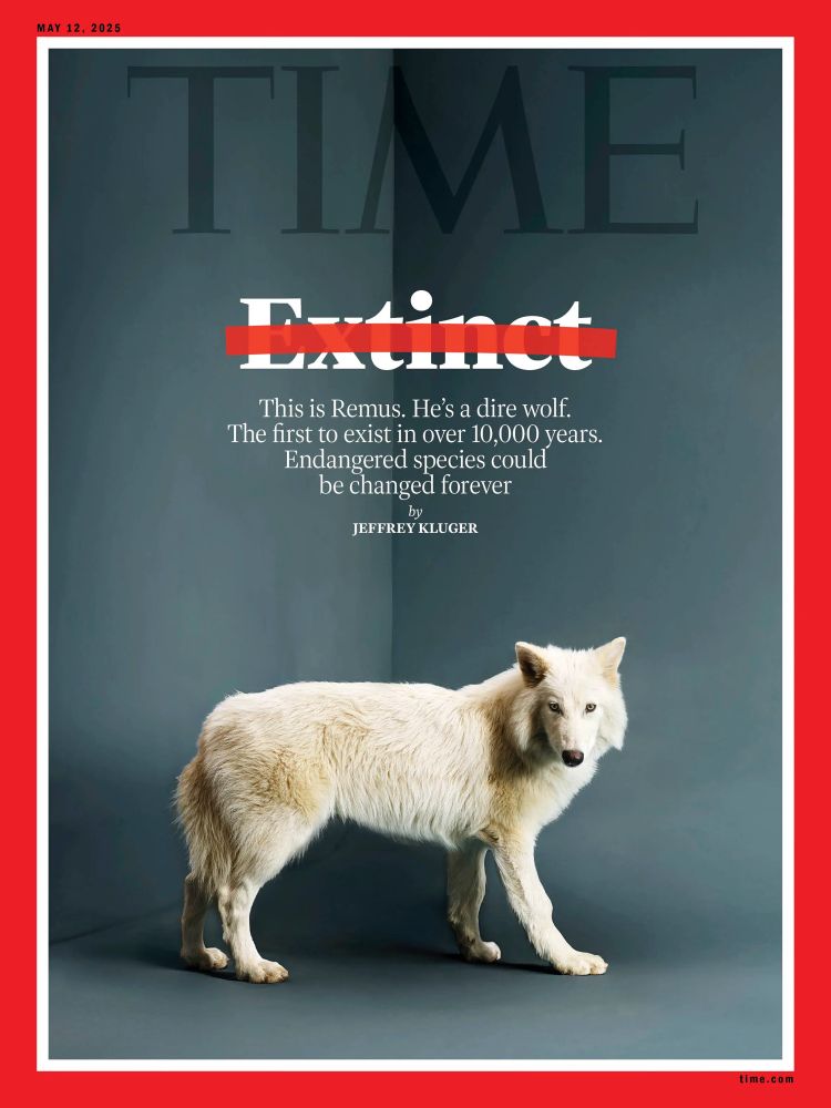 Cover of TIME magazine showing a genetically-modified wolf, said to be a dire wolf but is not, with the headline “extinct” with a strikethrough, above the text “this is Remus. He’s a dire wolf. The first to exist in over 10,000 years. Endangered species could be changed forever” by Jeffrey Kluger 
