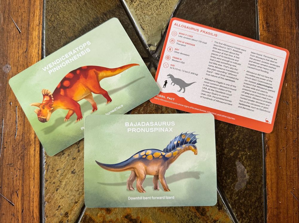 Three cards from The Dinosaur Deck, showing the horned dinosaur Wendiceratops, the sauropod Bajadasaurus, and the back of the card for Allosaurus showing stats and fun facts 
