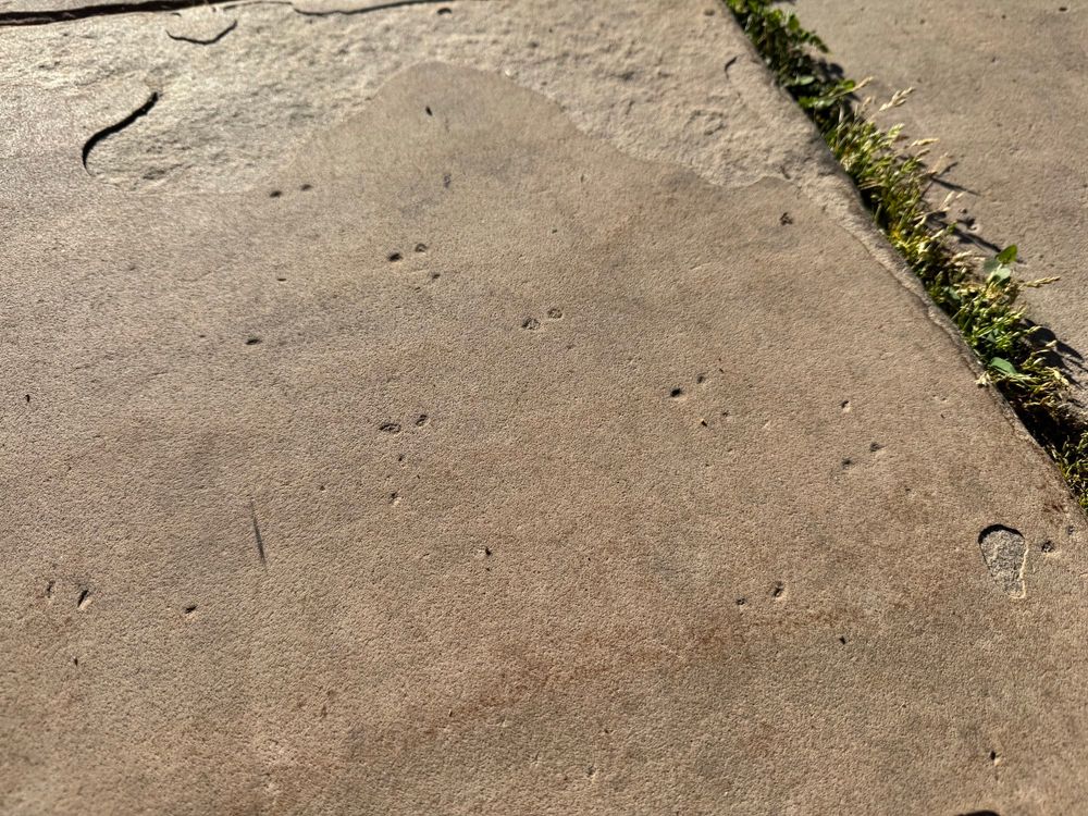 A slab of orange sandstone marked with Jurassic spider tracks 