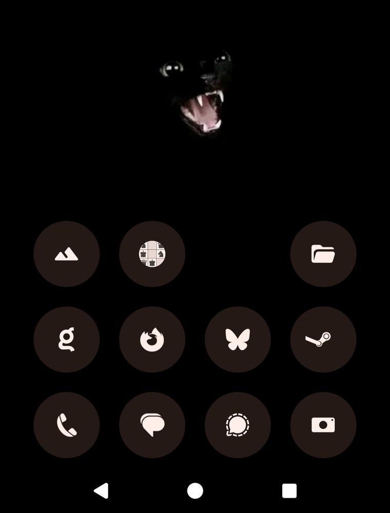 A Screenshot of an Android homescreen with custom icons amd a black cat background. 
