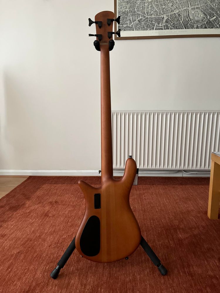 The same bass, from the rear.

It’s still one sexy bass.